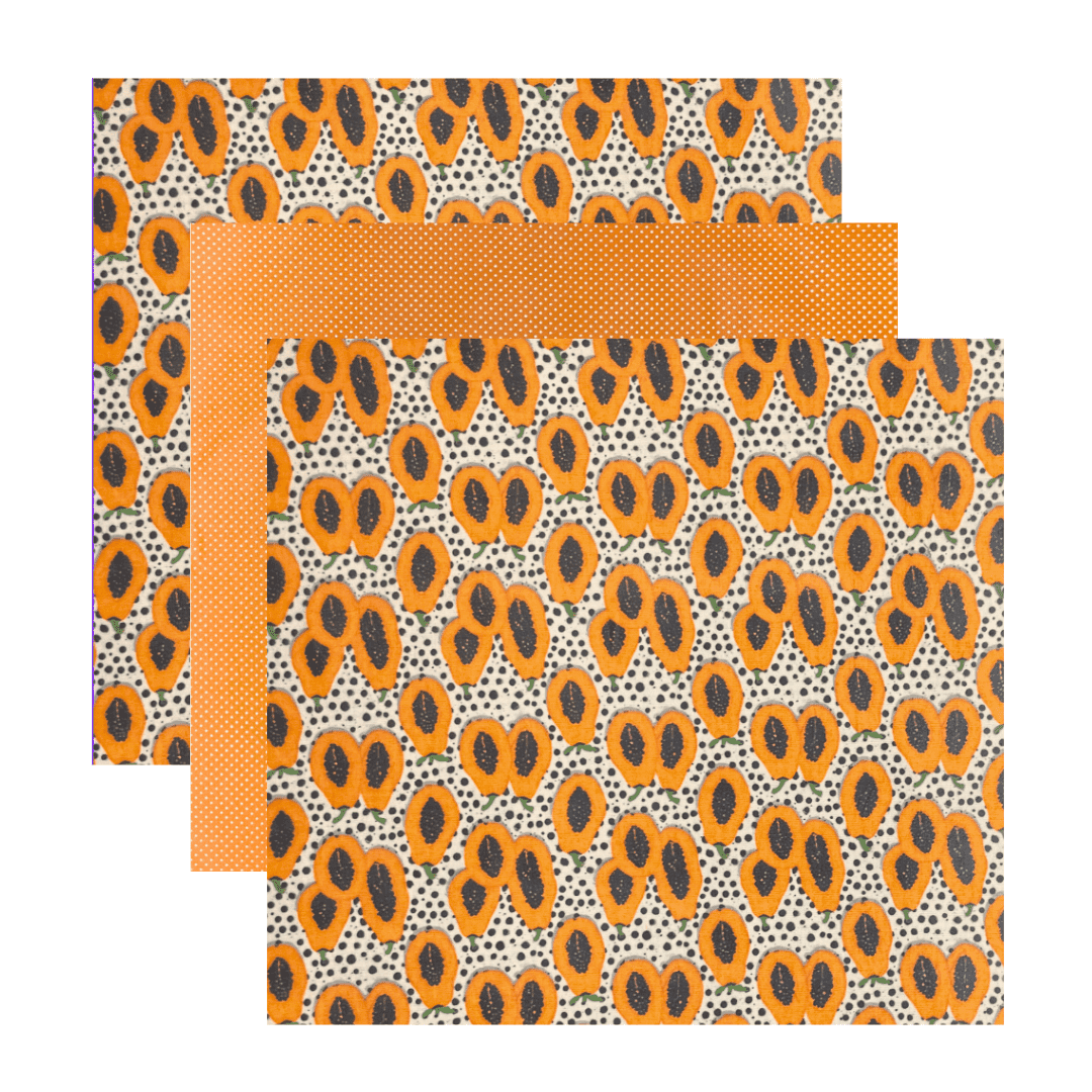 Kit Pano de Cera G (35x38cm) 3 Unidades