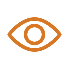 Visão
